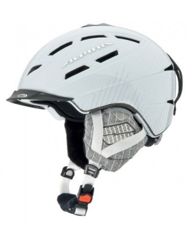 Alpina Unisex Alpina Chief 10 L.E. Skiing Helmet