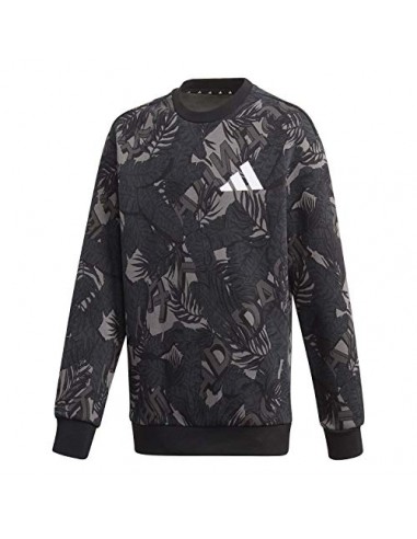 Adidas Boys A Tp Crew Sweatshirt