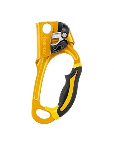 Petzl Men's Ascension Ascender Right